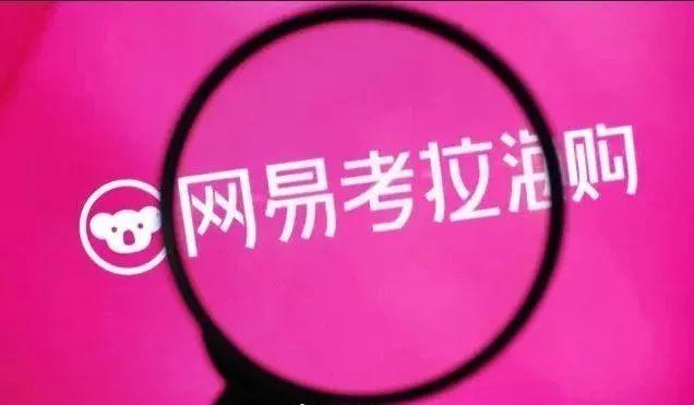 百度账号最新信息，时代印记与进步的见证