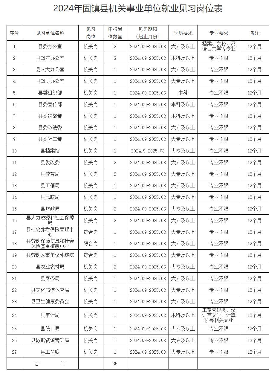 软件开发